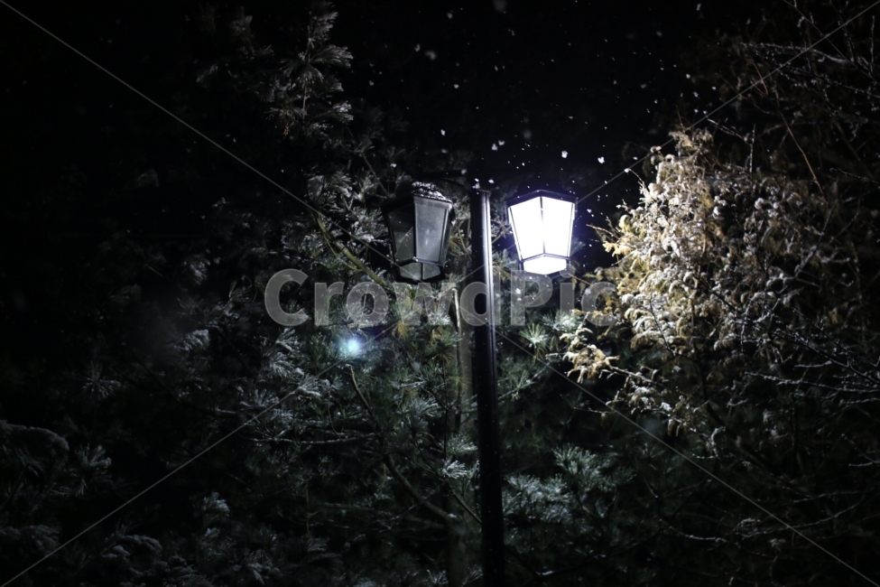 겨울,풍경,나무,눈,가로등,겨울,계절,winter,season,야경,밤,풍경,nightscape,night,landscape,lamp post,램프 포스트