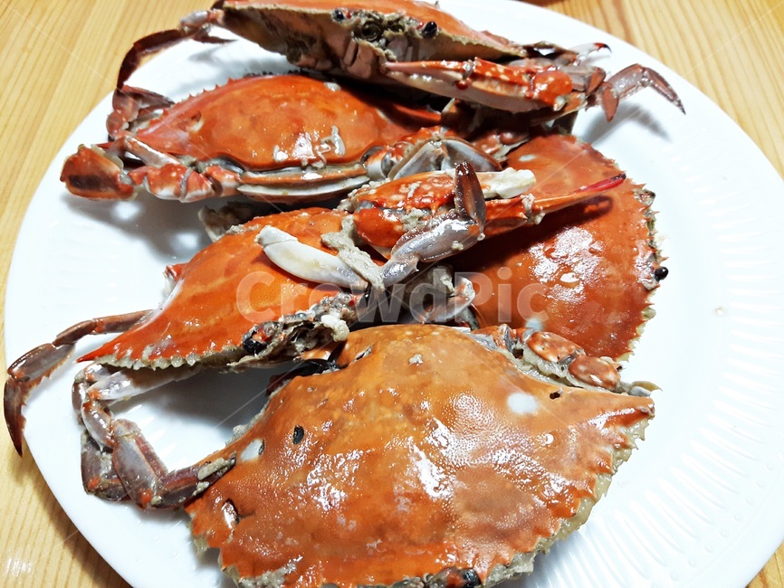 꽃게,꽃게찜,제철꽃게,싱싱한꽃게,신선한,맛있는꽃게,음식,식재료,요리,food,cook,meal,dishes,food reserves,수산물,해산물,fishery products,seafood