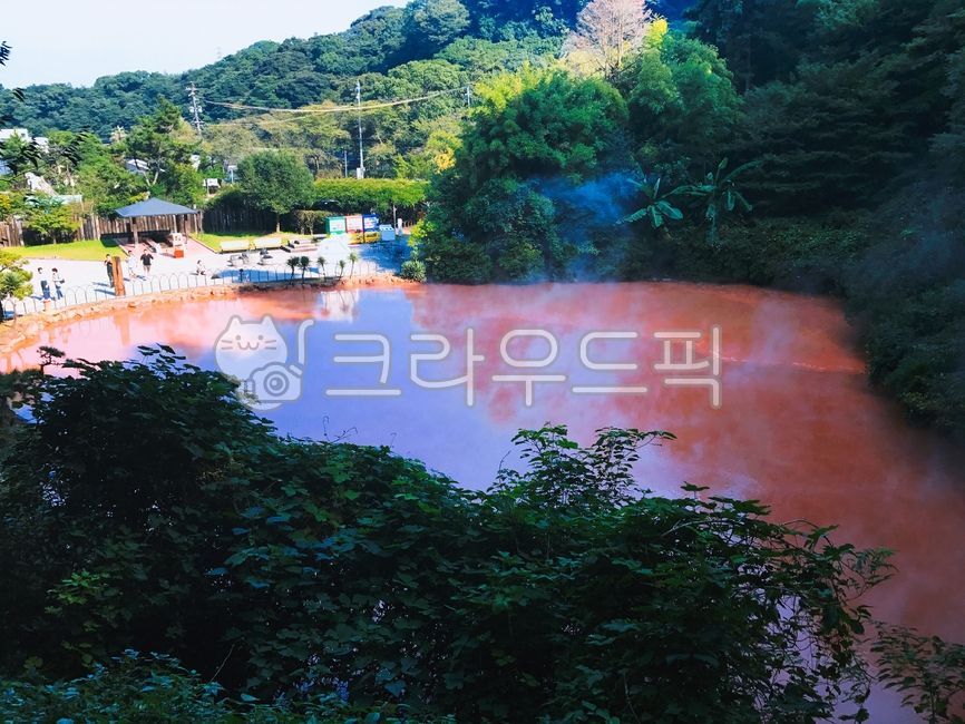 온천,일본,벳부,뱃부,japan,후쿠오카,nature,자연,outdoors,tree,옥외,나무