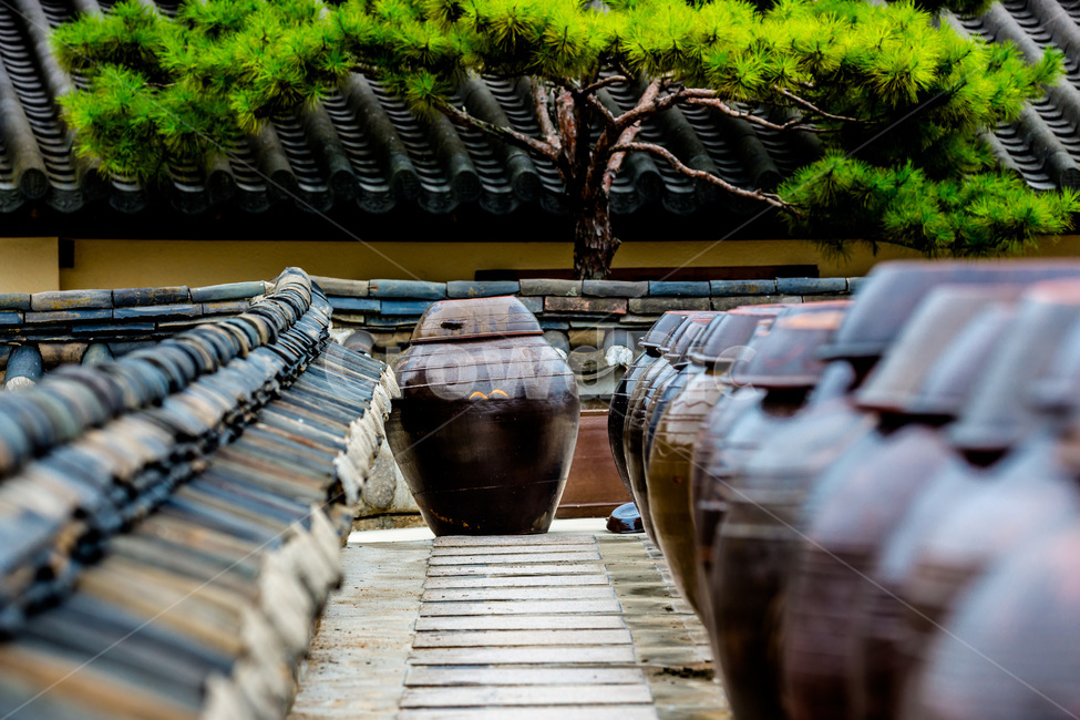 장독대,장,독,간장독,전통문화,기와,문화유산,한국전통,한국문화,korean traditional,korean culture,사물,물건,오브젝트,thing,object,matter