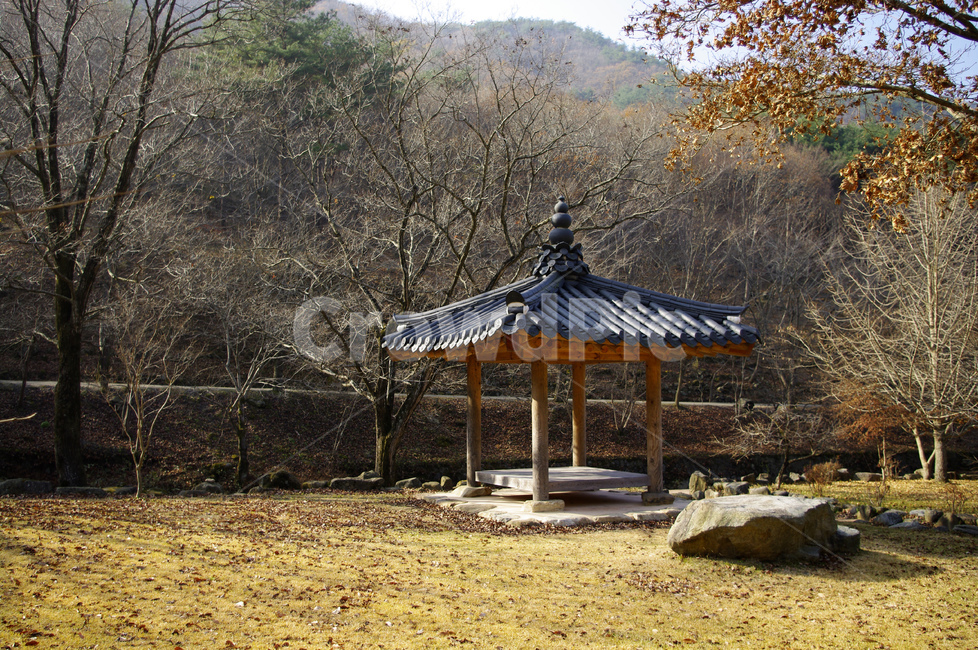 기와지붕,한국,전통,건축,나무,한국전통,한국문화,korean traditional,korean culture,건축물,건물외관,exterior,building,structure,architecture,construction