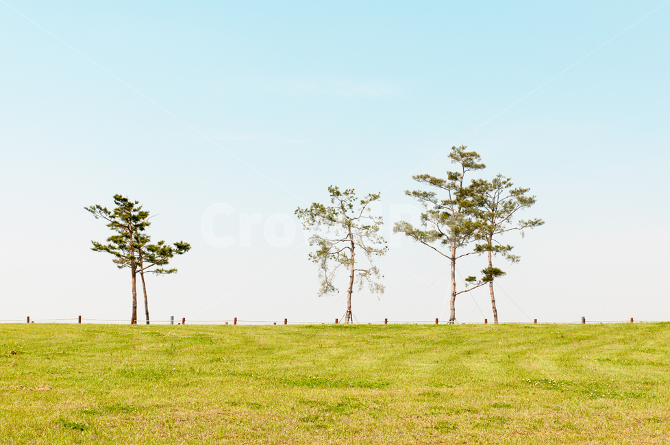 봄,의성,조문국박물관,풍경,야외,녹색,무덤,자연,풍경,nature,landscape,grassland,목초지,field,들,outdoors,옥외