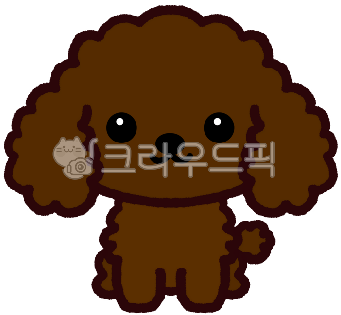 푸들,아기푸들,갈색푸들,강아지,개,아기동물