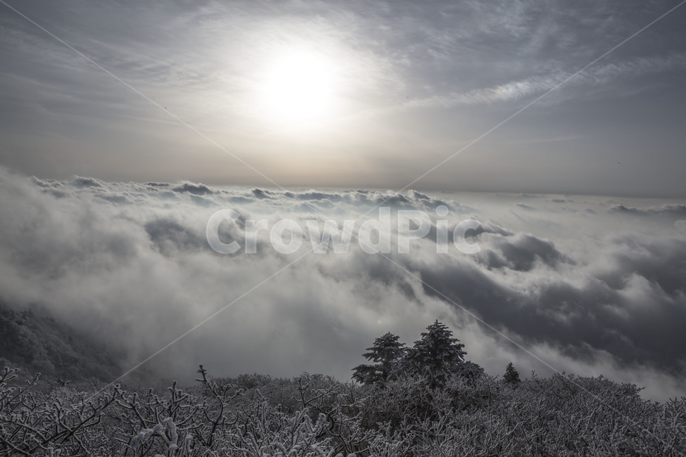 설경,운해,풍경,한국의미,일몰,겨울,계절,winter,season,자연,풍경,nature,landscape,weather,날씨