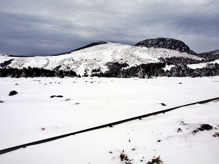 어리목,제주도,한라산,설경,겨울,설화,겨울산,눈,백록담,겨울,계절,winter,season,자연,풍경,nature,landscape,outdoors,옥외,mountain,산