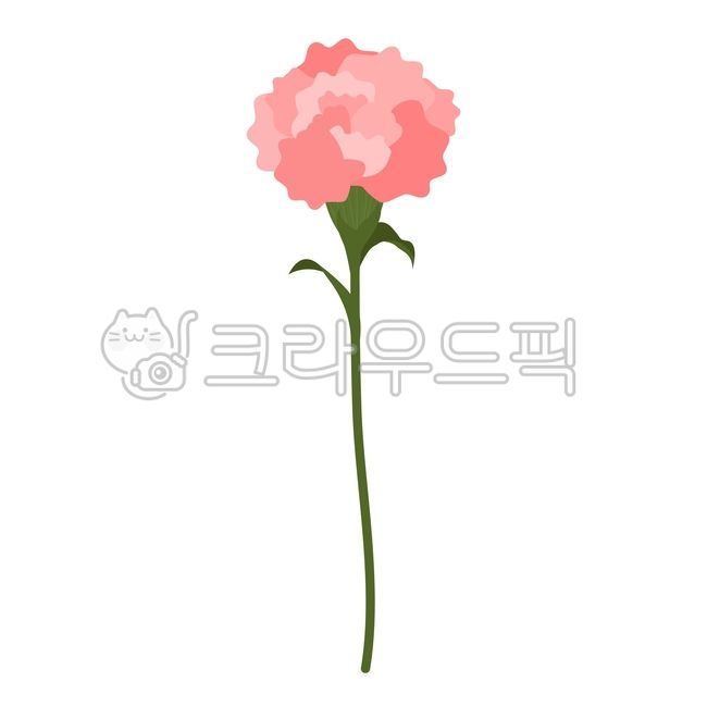 어버이날,가정의달,스승의달,그래픽,아트,감사,고마움,스승,꽃,flower,카네이션,carnation,parentsday,familymonth,teachersmonth,flowers,hands,graphics,art,thankyou,teacher