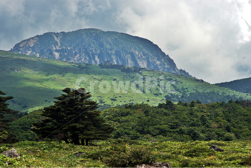 한라산,제주도,영산,어리목코스,만세동산,자연,구름,운무,백록담