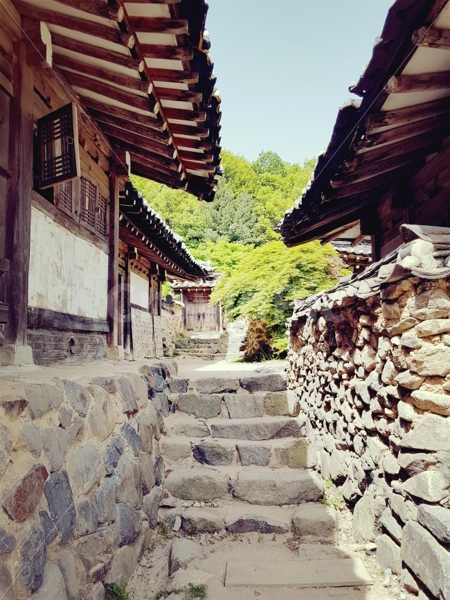 남양주,드라마촬영지,한옥마을,돌담,돌계단,stone,골목길,alley,한국전통,한국문화,korean traditional,korean culture,flagstone,판석,walkway,보도,path,통로