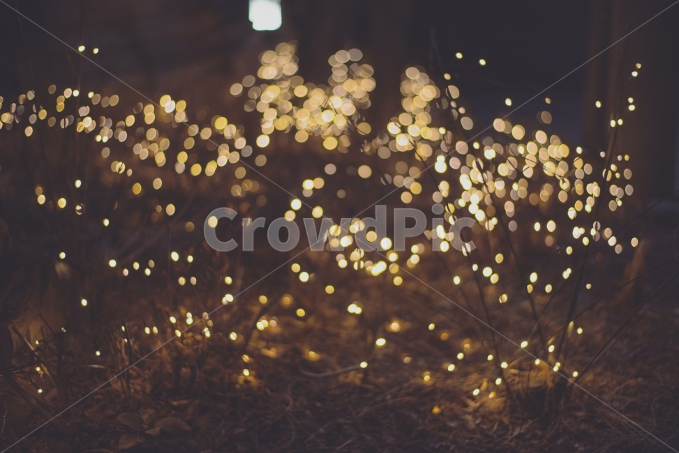 야경,은은함,감성,겨울,light,winter,warmful,nightview,따뜻함,야경,밤,풍경,nightscape,night,landscape,감성,sensible,feeling