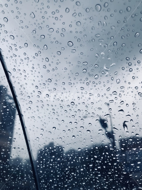rain,비,우산,감성,여름,장마,비,비오는날,rain,rainy