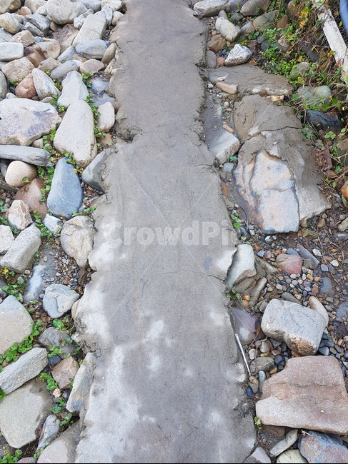 각진,돌,시멘트,땅바닥,거친,길,울퉁불퉁,rock,cement,ground,ruggedly,stone,weeds,angulate,rough