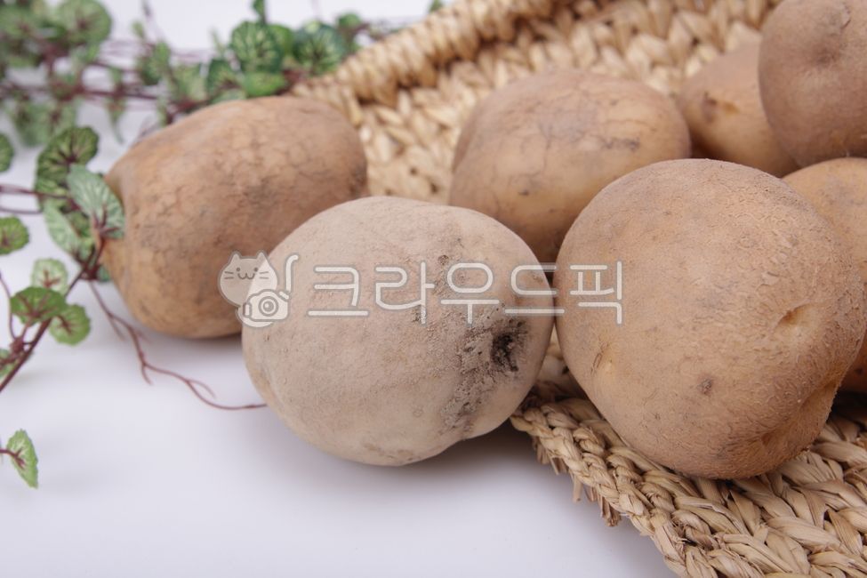red clay potatoes,cooking ingredients,vegetable,vegetables,food,whole potato,Boiled Potatoes,root fruit,potato,plant,Food Ingredients,animated,Sumi Potato,fresh