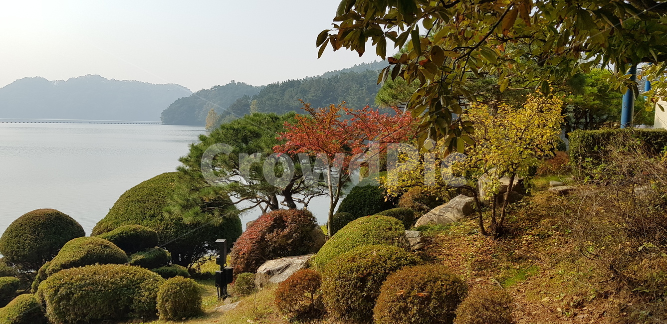 단풍,강,호수,단풍나무,돌,하늘,산,빨강,초록,물,파란,계절,자연,자연풍경,풍경,나무,식물,tree,outdoors,옥외