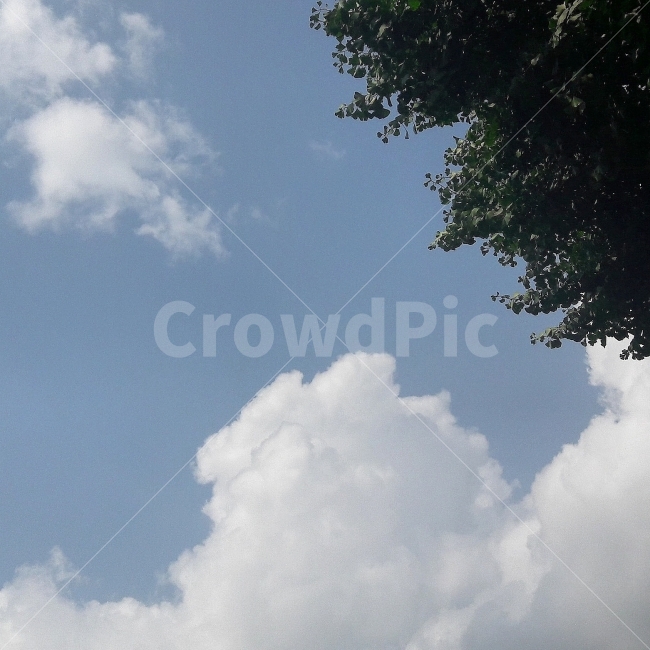 하늘,구름,풍경,색감,감성,자연,풍경,nature,landscape,식물,plants,weather,날씨,outdoors,옥외,cloud,cumulus,적운,sky