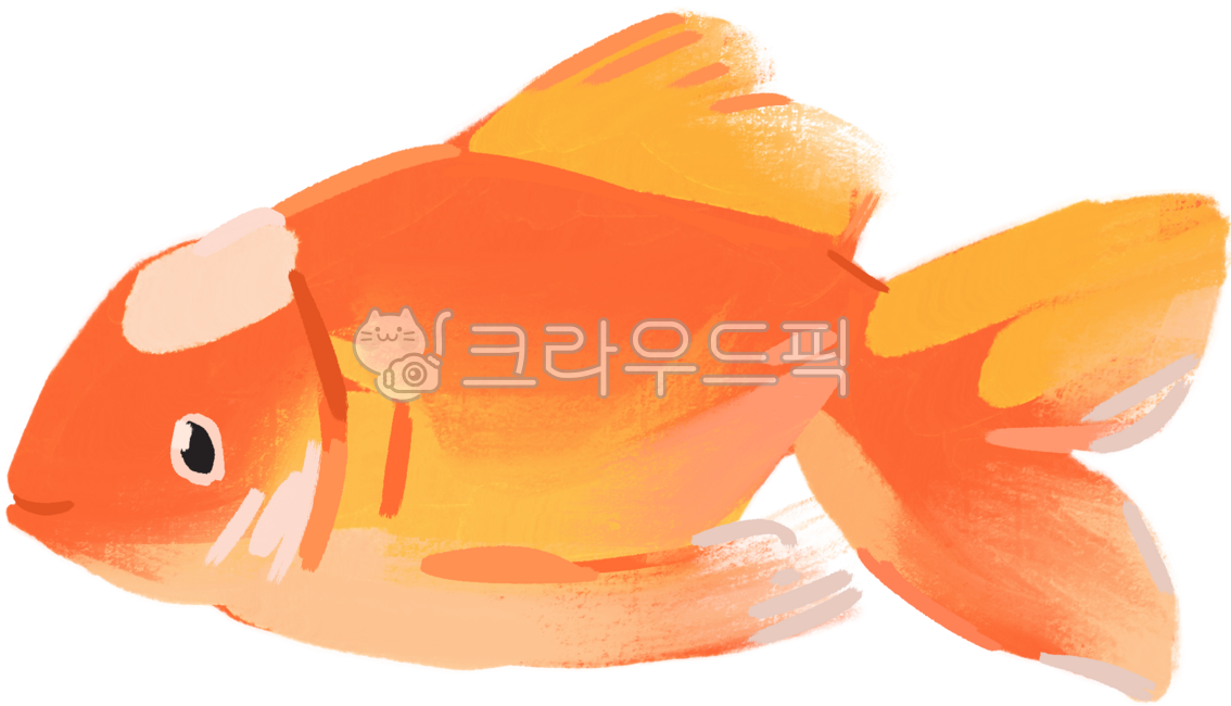 금붕어,붕어,어항,물고기,애완동물,귀여운,취미,goldfish,fish,cute