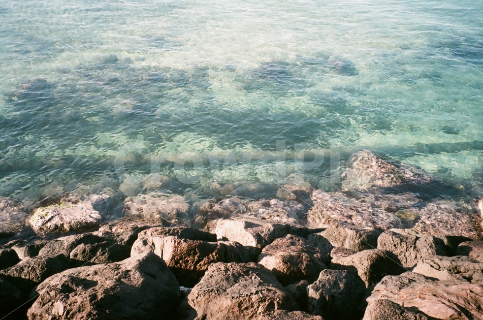 제주도,바다,돌,sea,자연,필름카메라,자연,풍경,nature,landscape,rubble,파편