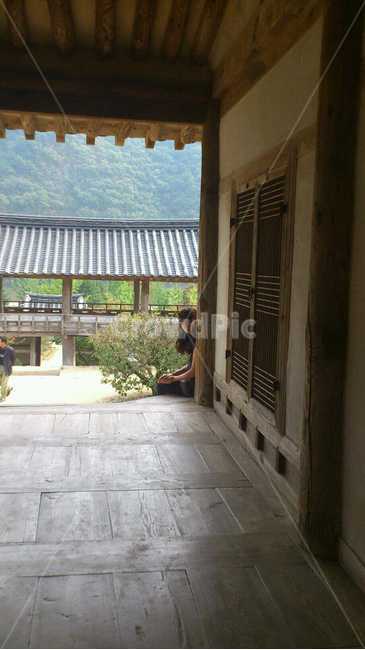한옥,엿보기,서원,기와집,시골,병산서원,사람,몰래보기,기대앉기