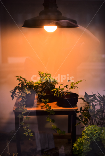 야경,야간풍경,감성,전등,전구,하나,밤풍경,cafe,night,emotional,sensible,느낌,분위기,필,조명,라이트,화분,식물,화초,테이블,인테리어,빈티지,vintage