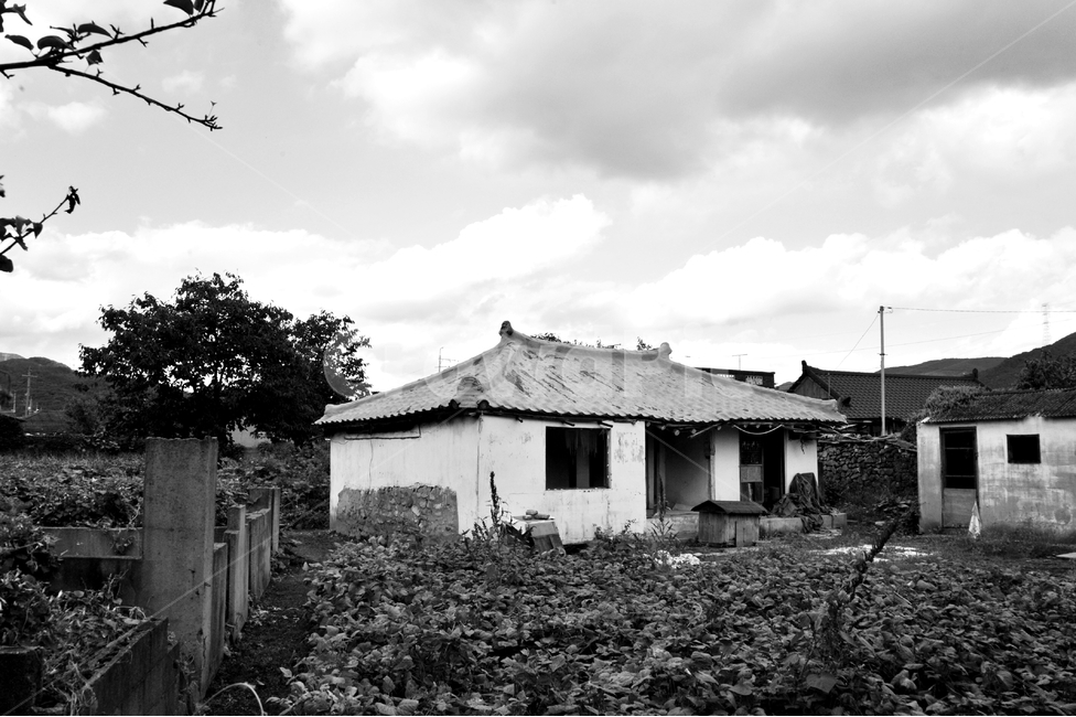 집,시골,고향,빈집,가을,시골,마을,풍경,landscape,country,rural,town,흑백,모노톤,monochrome,black and white