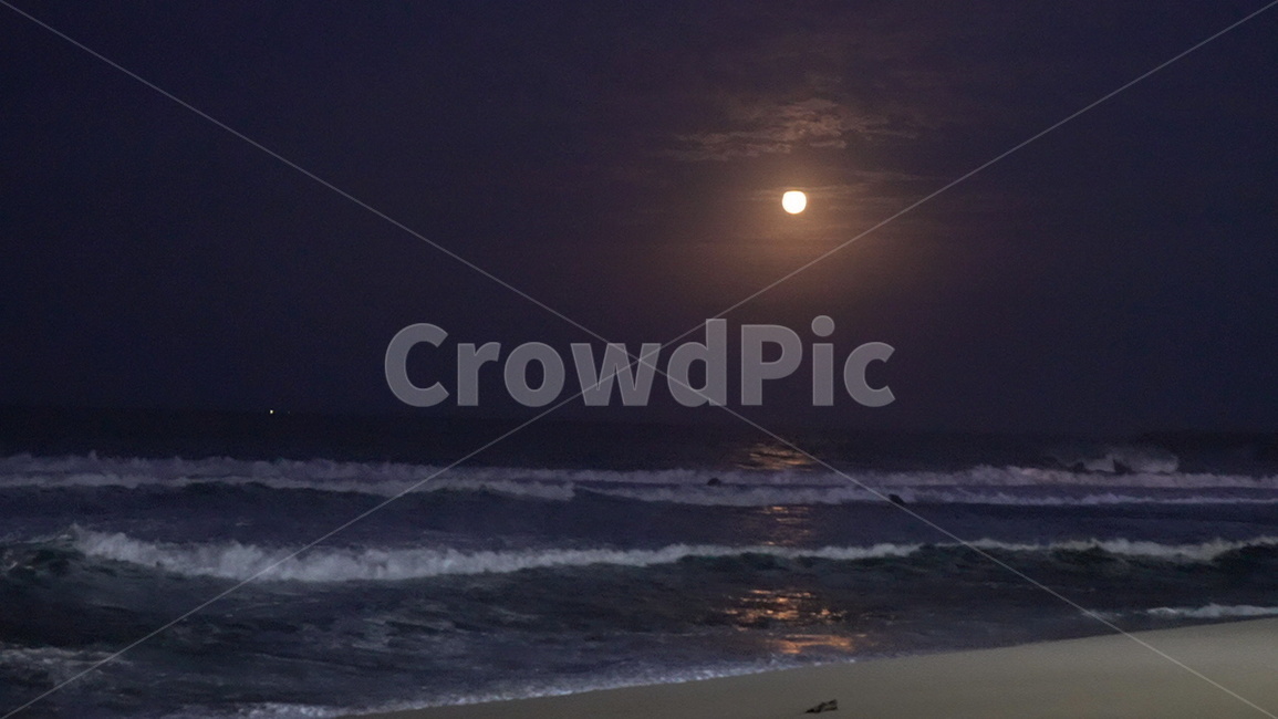 nature,자연,sea,바다,water,물