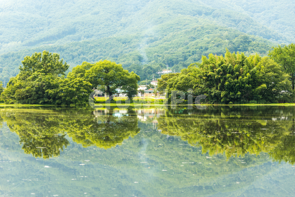 위양지,반영,여름풍경,밀양,위양못,자연,풍경,nature,landscape,한국자연풍경,한국자연경관,korea nature landscape,water,물,outdoors,옥외,land,땅