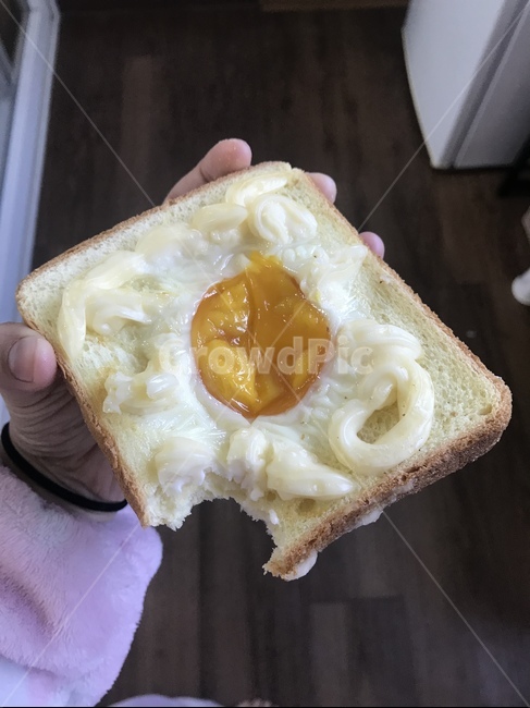 토스트,달걀,빵,음식,마요네즈,요리,음식,식재료,요리,food,cook,meal,dishes,food reserves,빵,bread