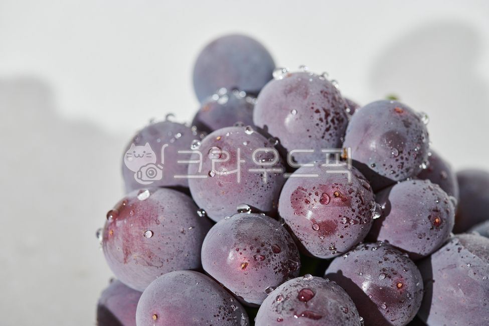 food,과일,계절과일,누끼,보라,grapes,포도,음식,fruit,음식,식재료,요리,food,cook,meal,dishes,food reserves,과일,열매,fruit