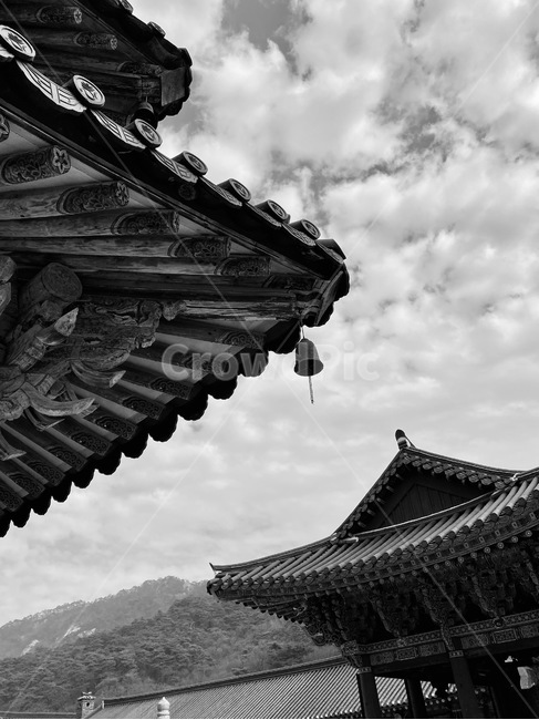 탑,temple,신전,신사,pagoda,불교,절,흑백