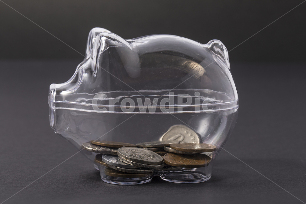 저금통,돼지,돼지저금통,저축,동전,투명,돈,용돈,잔돈,엔화,엔,금융,돈,finance,banking,money,연출,컨셉,콘셉,direction,concept