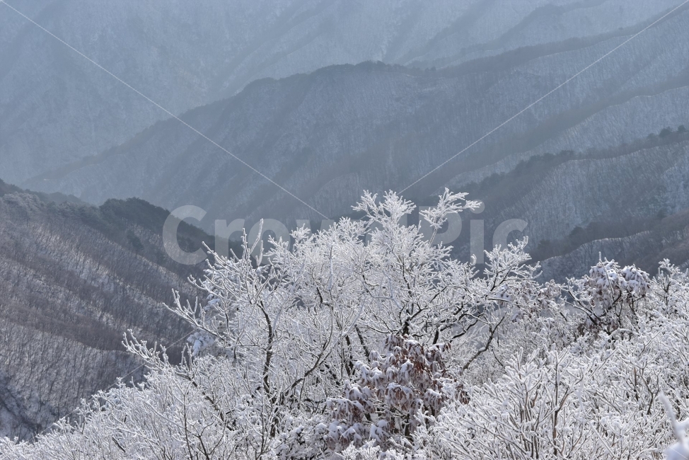 소백산,눈꽃풍경,상고대,겨울풍경,국립공원,겨울동화,눈풍경,파란하늘,100대명산,겨울명산,설경,서리꽃,영동,snow,landscape,자연,풍경,nature,landscape,겨울,계절,winter,season,outdoors,옥외