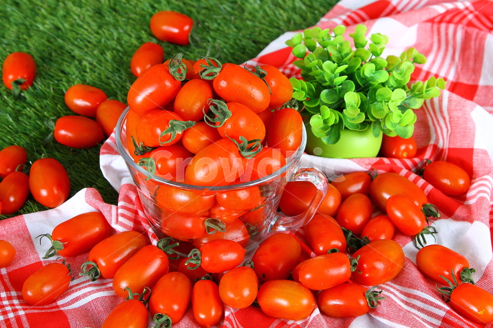 Jujube Cherry Tomato,jujubetomatoes,fruit,tomato,vegetable,vegetables,food,Red,red,fruits,fresh