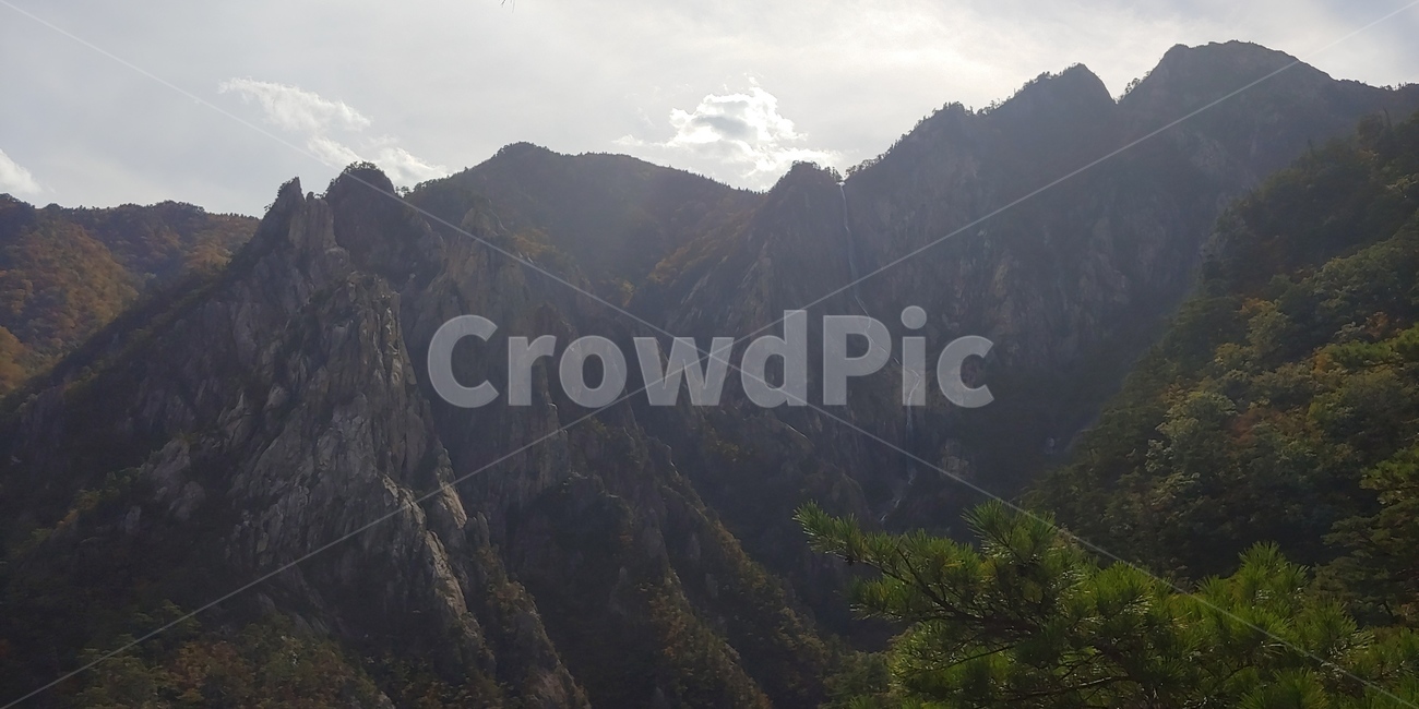 폭포,설악산,토왕성폭포,자연,산,경관,경치,나무,등산,비경,한국의산,풍경