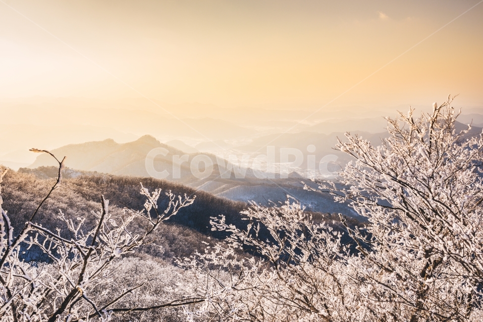 눈꽃,눈꽃길,겨울산,겨울,눈꽃산행,노을,벚꽃나무,겨울,계절,winter,season,자연,풍경,nature,landscape,한국자연풍경,한국자연경관,korea nature landscape,outdoors,옥외,ice,얼음