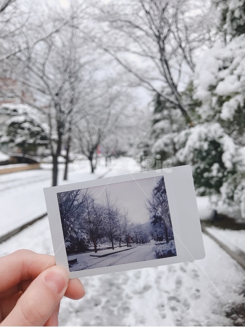 자연,겨울,눈,사진,폴라로이드,함박눈,사람,손,nature,snow,winter,human,outdoors
