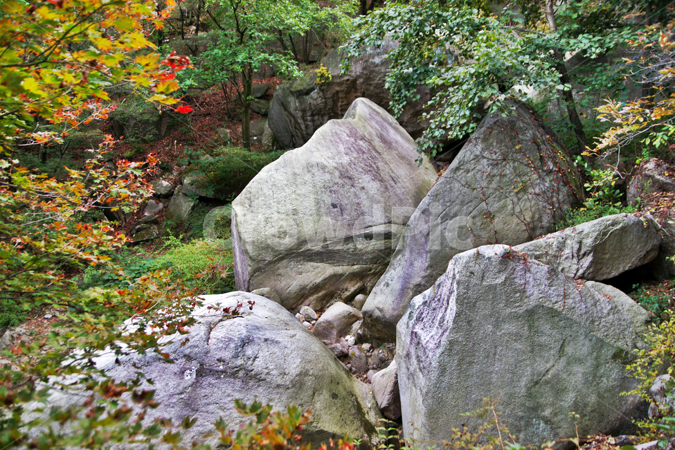 도봉산,산,등산,계곡,바위,암벽,암석,자연,계절,단풍