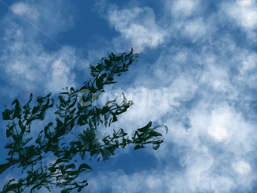 나무,풍경,하늘색,일러스트,풍경화,맑은하늘,자연,nature,outdoors,푸른하늘,sky,하늘,weather,날씨,cloud,구름,자연,풍경,nature,landscape,옥외,azure sky,푸른 하늘,cumulus,적운