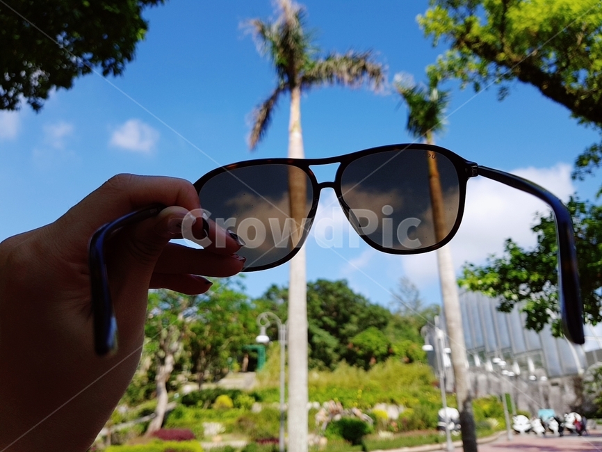 파빌리온,선글라스,풍경,sunglasses,야자수