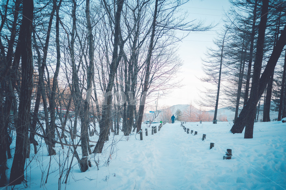 snow,눈,winter,겨울,nature,자연,outdoors,옥외,겨울,계절,winter,season,자연,풍경,nature,landscape