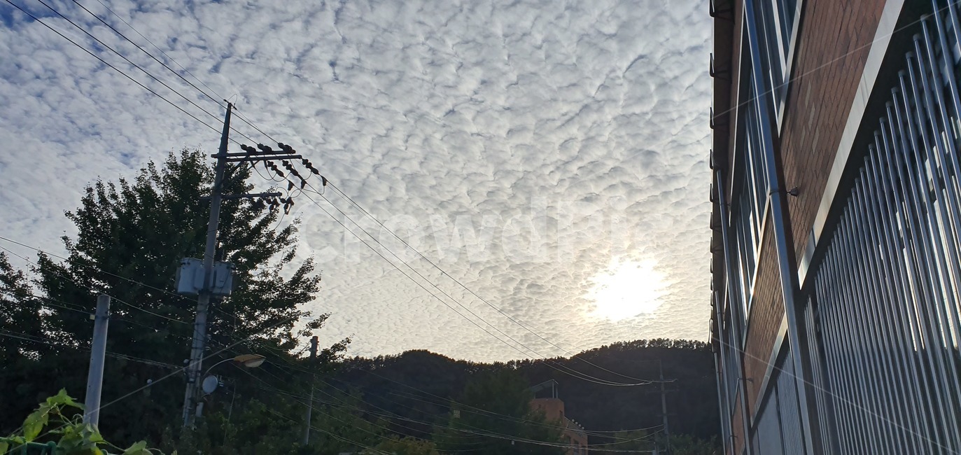 하늘,구름,하늘풍경,파란하늘,흰구름,풍경,자연
