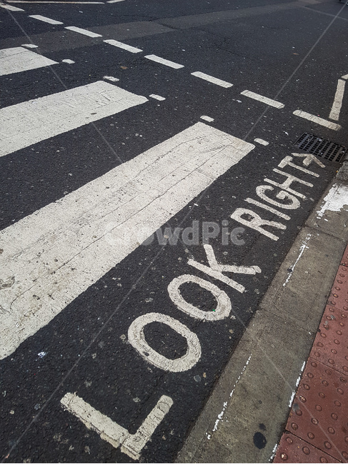 아스팔트,도로,얼룩말교차점,lookright,횡단보도