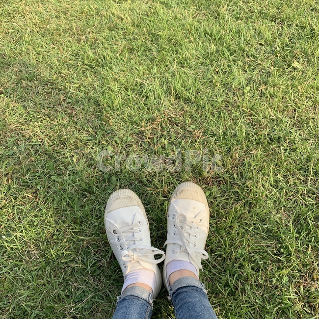 들판,잔디,식물,신발,단화,green,초록,푸릇,의류