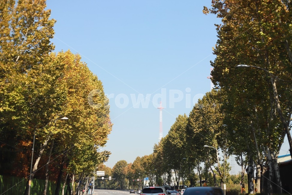 풍경,나무,하늘,구름,자연,도심,자연,풍경,nature,landscape,road,도로