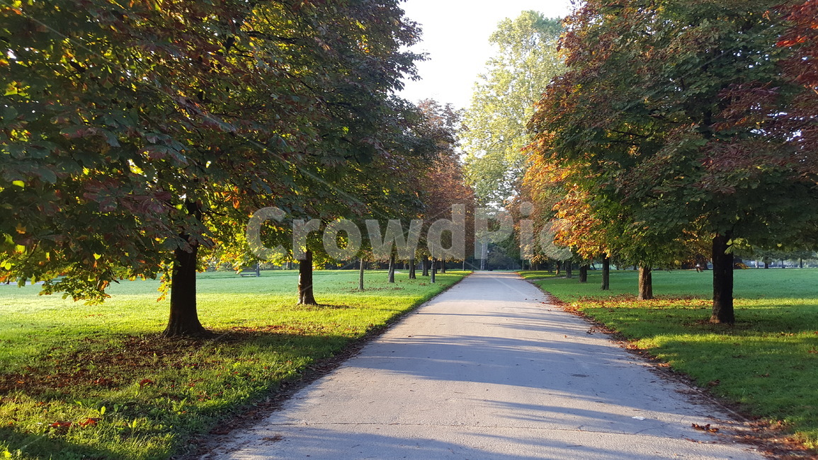 park,공원,가을,autumn,fall,가을,계절,fall,autumn,season,asphalt,아스팔트,plant,식물,tree,나무,path,통로