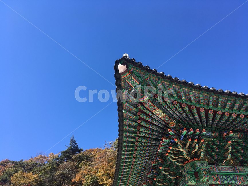단청,처마,한국적인,전통적인,절,기와,전통,korea,traditional,temple,dancheong,패턴,건축,한국전통,한국문화,korean traditional,korean culture,건축물,건물외관,exterior,building,structure,architecture,construction