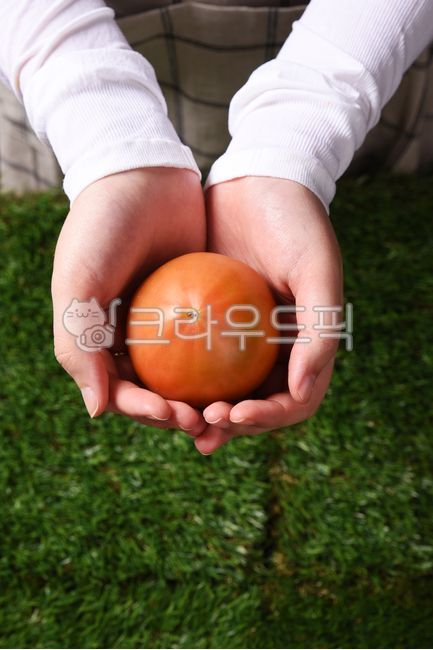 토마토,토마토요리,food,과일,야채,채소,tomato