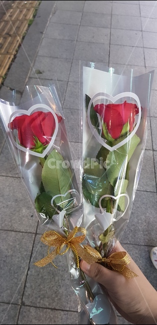 장미,하트,장미한송이,길가,선물