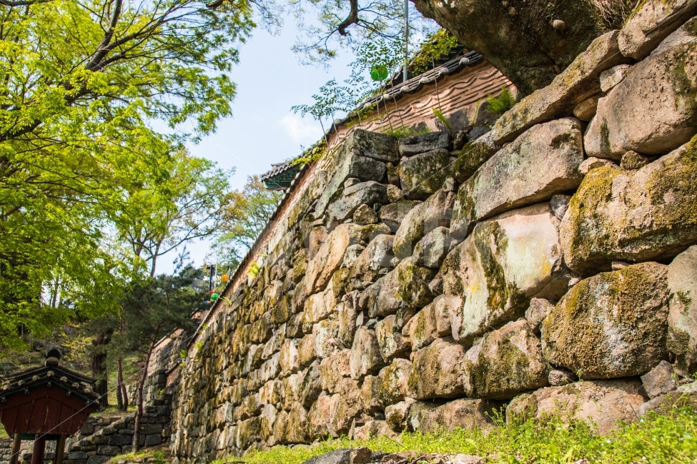 사찰,산,풍경,벽,봄,여름,한국전통,한국문화,korean traditional,korean culture