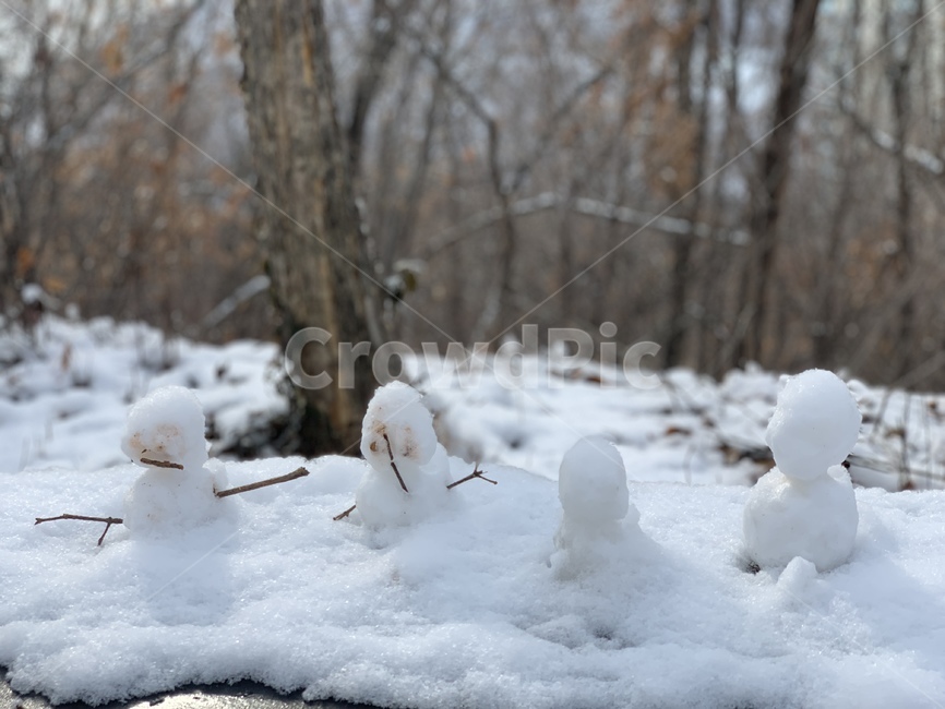 눈,눈사람,자연,겨울,snow,snowman,nature,winter