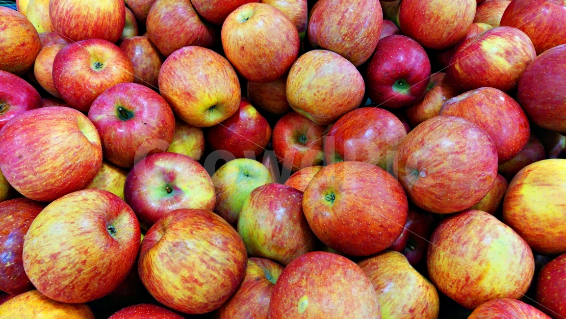 시과,애플,apple,과일,비타민,쥬스,잼,샐러드,사라다,파이,아삭,식감,수확,마트,시장,과일가게,청과,감칠맛,맛,새콤,달콤,홈페이지,웹,배너,모바일,sns,콘텐츠,마케팅,배경,바탕,백그라운드,펙틴,피부미용,칼륨,구연산,피로회복,주석산,유기산,다이어트,상큼,후지사과,무늬,녹황색,잘익은,음식,식재료,요리,food,cook,meal,dishes,food reserves,과일,열매,fruit