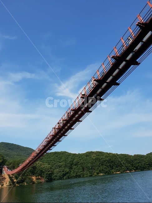 다리,bridge,출렁다리,마장호수,호수